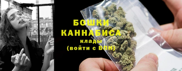 сатива Горняк