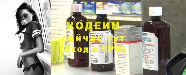сатива Горняк