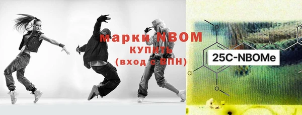 сатива Горняк