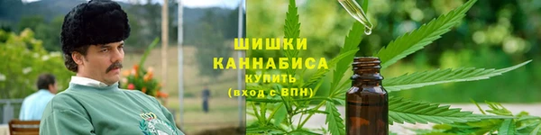 сатива Горняк
