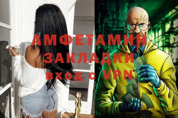сатива Горняк