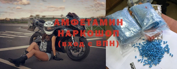 сатива Горняк