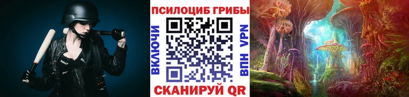 Псилоцибиновые грибы Psilocybine cubensis  Купить  Карабаново 